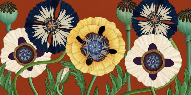 日本知名花藝師東信Azuma Makoto，攜手外國插畫家和動畫師合作，製作了《Story of Flowers》，短短4分鐘的動畫短片，卻詳述植物們花起花落的生命故事，唯美畫面讓人驚艷！
