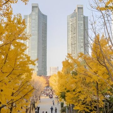 金宣虎最喜歡的散步路線推薦！四季皆美的首爾林、文化潮流的島山公園，感受都市森林的治癒感
