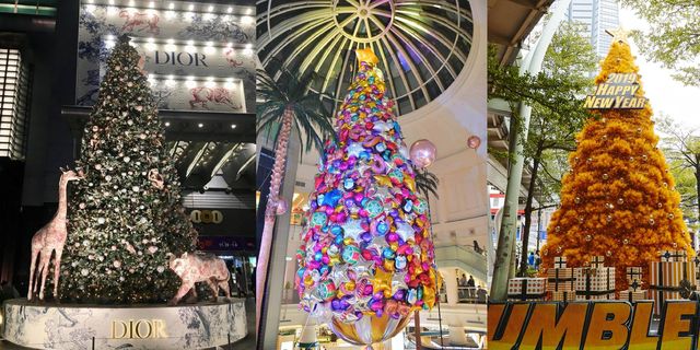 Christmas tree, Christmas decoration, Tree, Christmas ornament, Christmas, Woody plant, Interior design, Plant, Architecture, Event, 