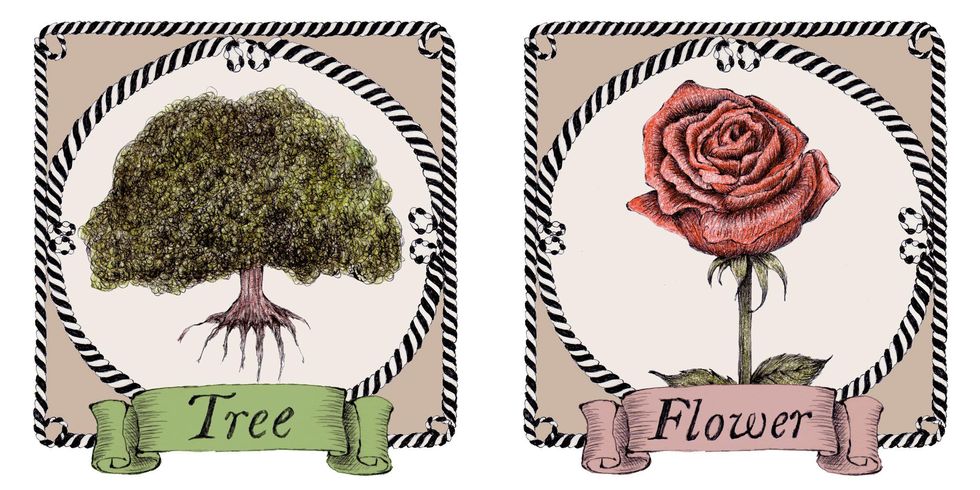 Botany, Tree, Postage stamp, Plant, Illustration, 