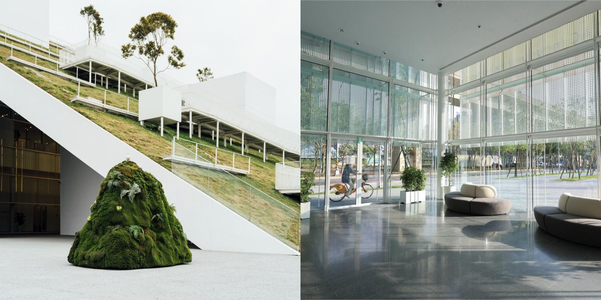 a modern looking building with a glass front and a large tree