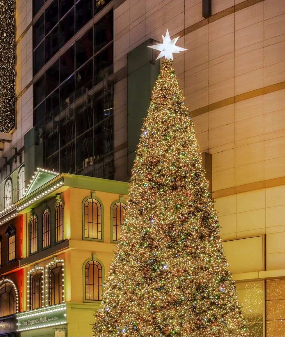 a tree with lights in front of a building