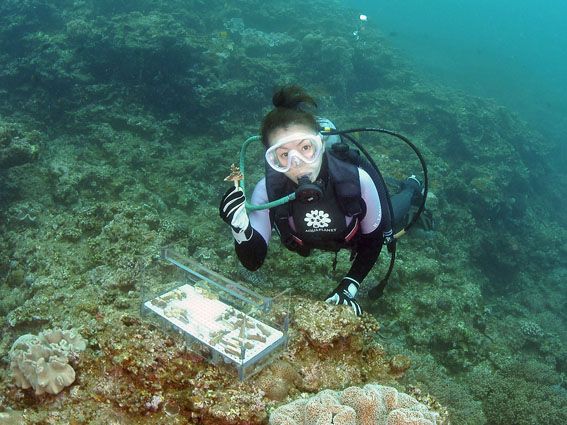 Underwater, Marine biology, Divemaster, Reef, Diving equipment, Diving mask, Recreation, Coral, Snorkeling, Underwater diving, 