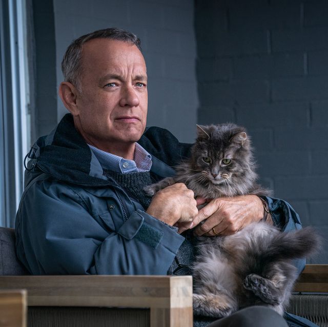 tom hanks is otto anderson in columbia pictures a man called otto photo by niko tavernise