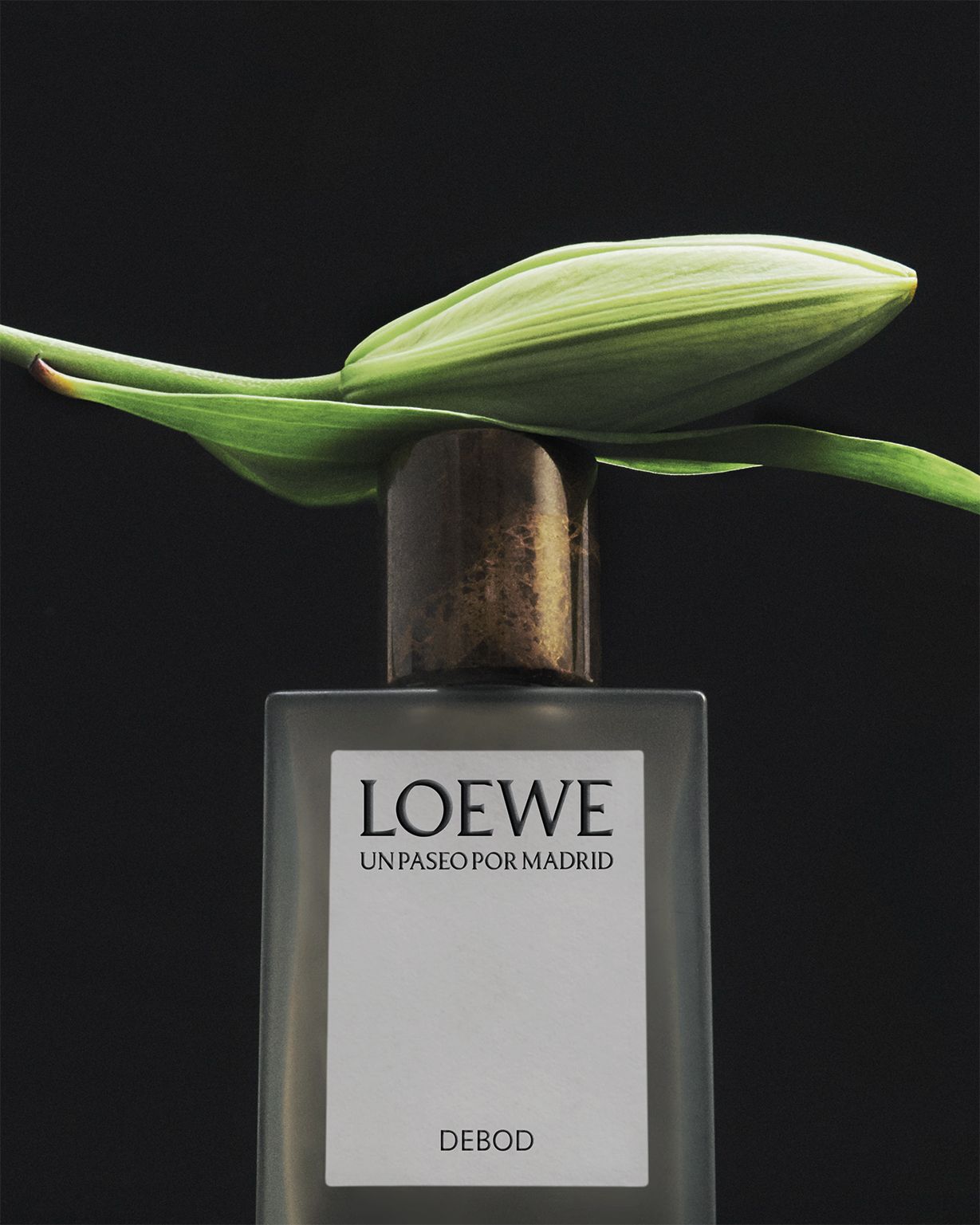 ロエベ フレグランスからラグジュアリーな香りのコレクション 