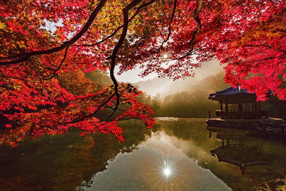2023韓國賞楓景點推薦：從繁華都市到愜意山區，帶你進入韓國楓紅秘境