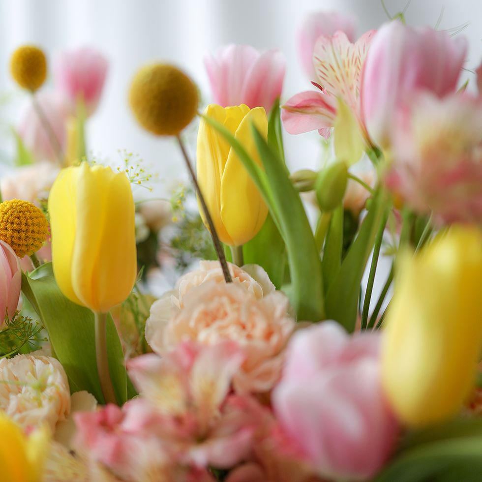 2023母親節花藝推薦「投瓶季節花束、鮮花盆花、永生花禮」等，獻給母親一座日常花園