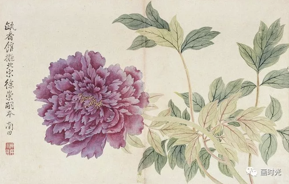 Flower, Flowering plant, common peony, Plant, Peony, Botany, Watercolor paint, Chinese peony, Chrysanths, Leaf, 