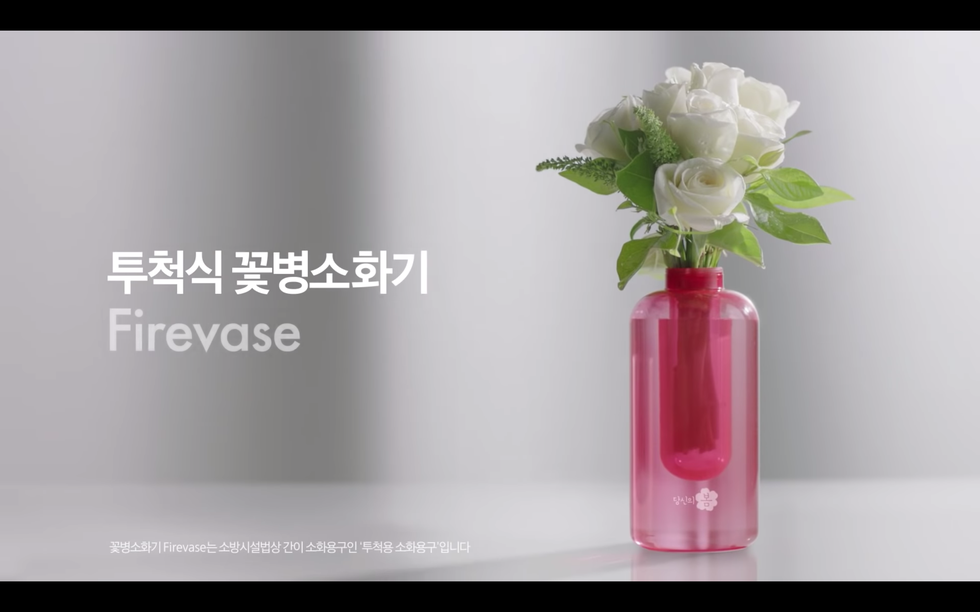 Vase, Flower, Pink, Plant, Cut flowers, Material property, Artifact, Bottle, Flowerpot, Glass, 