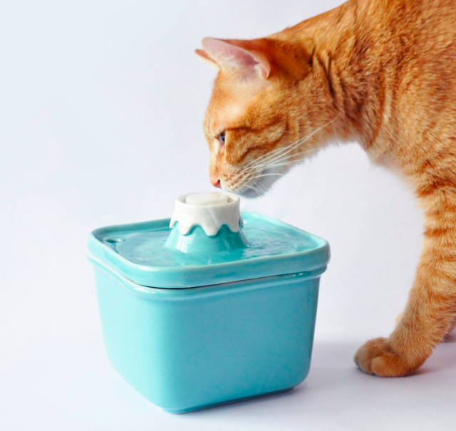 一隻橘色的貓再喝藍色富士山造型的飲水機