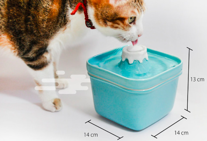一隻貓在喝藍色的富士山飲水機