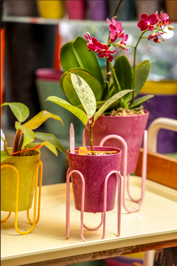 a group of colorful vases with flowers in them