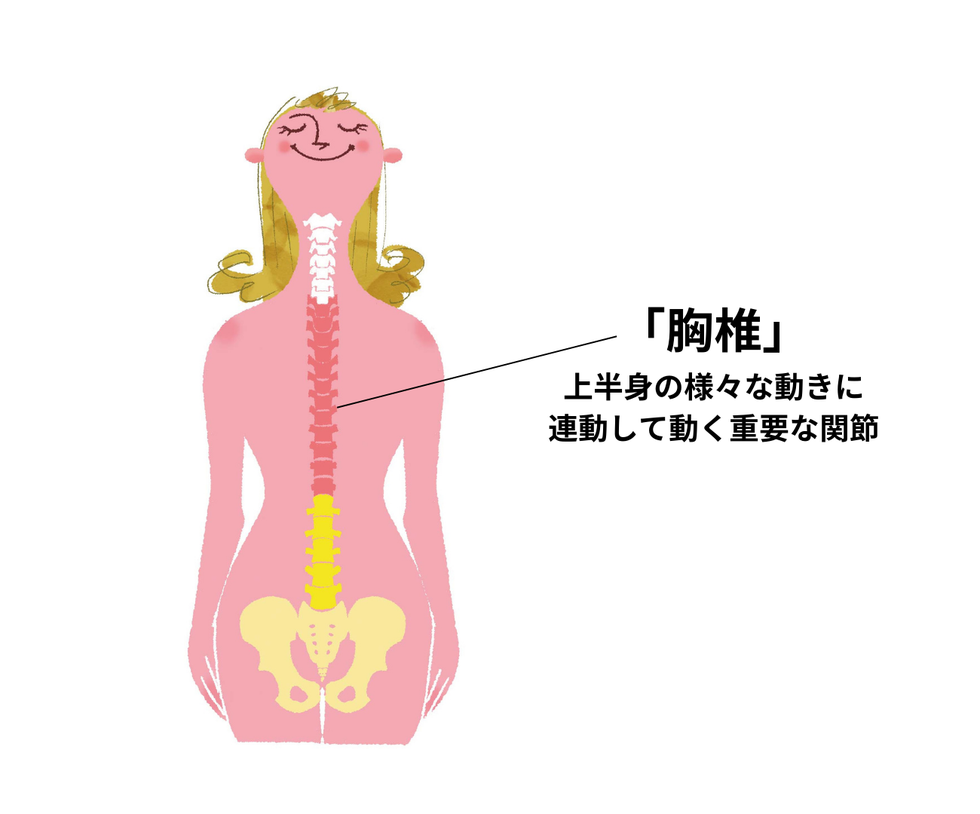 腰痛・ねこ背・巻き肩を解消！ 胸椎伸展 10分寝るだけストレッチ
