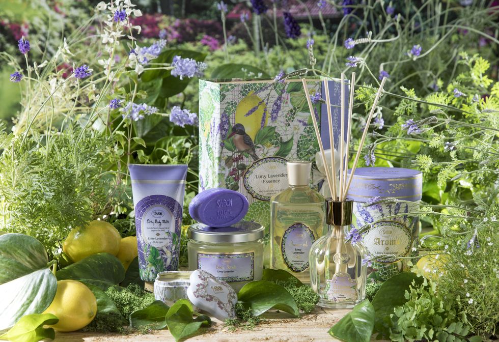 Lavender, Plant, Flower, Botany, Garden, Still life, Herb, Glass, Glass bottle, Bottle, 