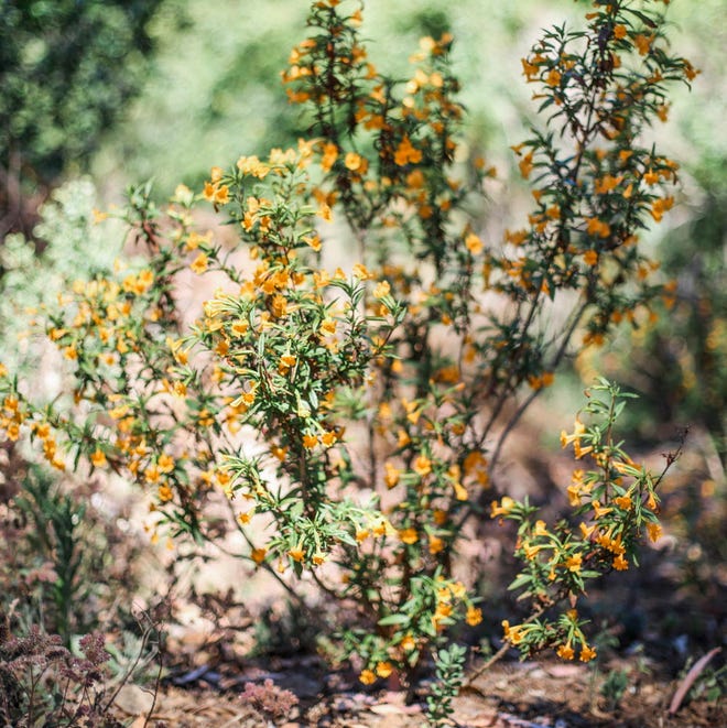 In&#x20;a&#x20;new&#x20;series&#x20;of&#x20;health&#x20;and&#x20;wellness&#x20;events&#x20;put&#x20;on&#x20;by&#x20;vape-pen&#x20;company&#x20;hmbldt,&#x00A0;cannabis&#x20;is&#x20;presented&#x20;as&#x20;an&#x20;accessory&#x20;to&#x20;a&#x20;healthy,&#x20;active&#x20;lifestyle.