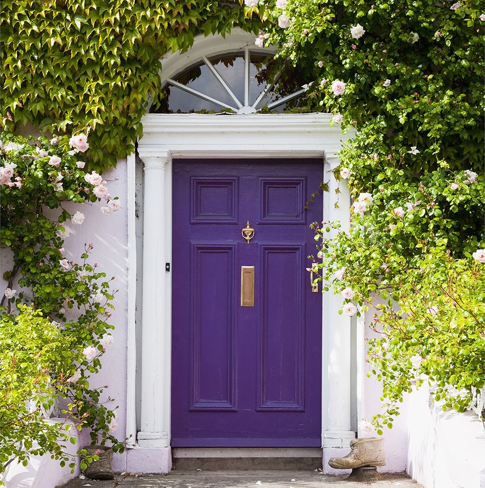 Wood, Green, Door, Purple, Home door, House, Fixture, Shrub, Door handle, Molding, 
