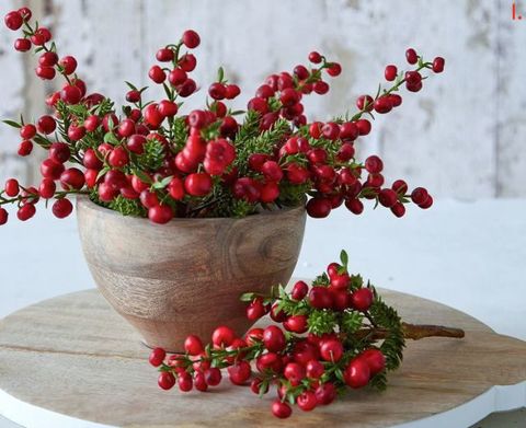 Red, Petal, Produce, Still life photography, Natural foods, Flowering plant, Fruit, Serveware, Illustration, Floral design, 