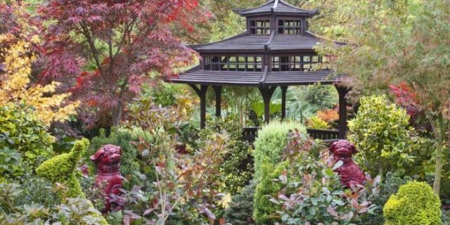 5 must-do tasks in your autumn garden