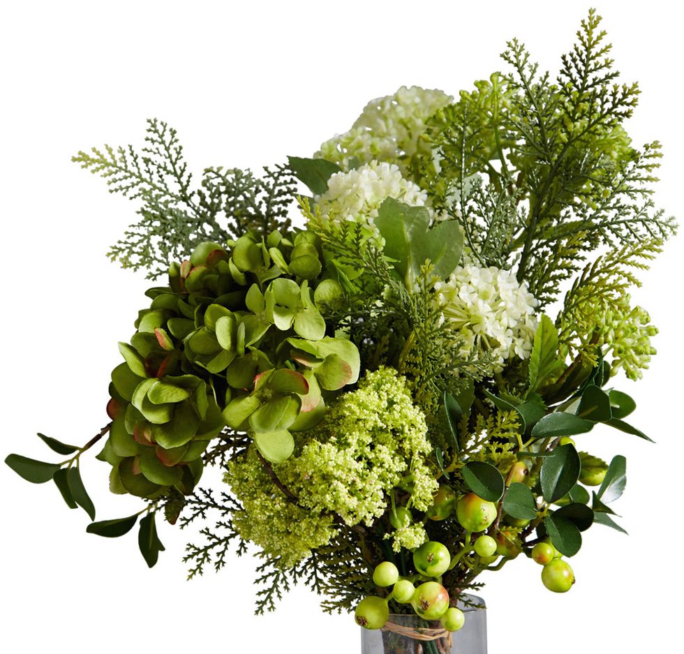 Leaf, Produce, Annual plant, Hydrangeaceae, Hydrangea, Cornales, Stonecrop family, Viburnum, Moschatel family, 