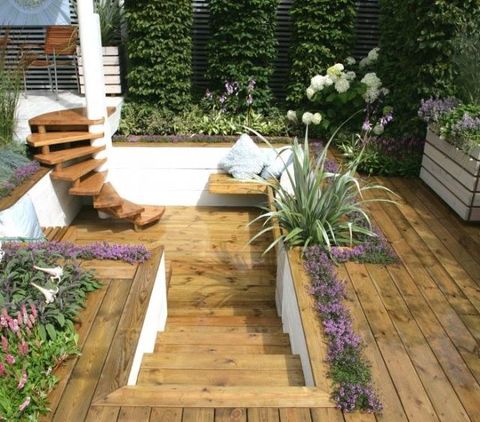 Wood, Plant, Garden, Hardwood, Flower, Shrub, Wood stain, Purple, Deck, Backyard, 