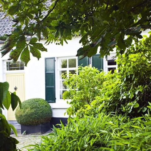 Green, Shrub, Real estate, Fixture, House, Garden, Hedge, Groundcover, Backyard, Home, 