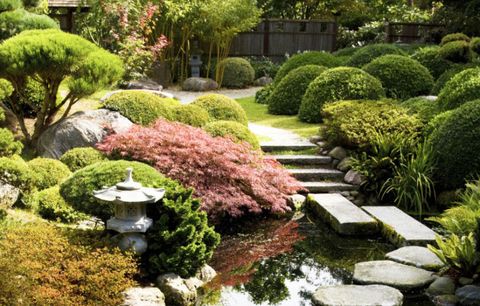 How to create a Japanese garden