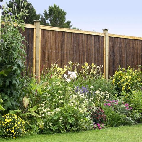 Plant, Shrub, Garden, Flower, Home fencing, Groundcover, Backyard, Yard, Lawn, Fence, 