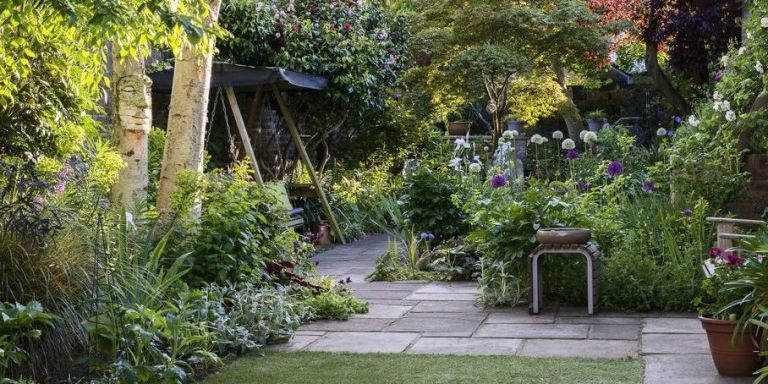 A garden transformed from a dark and overgrown tangle to a colourful ...