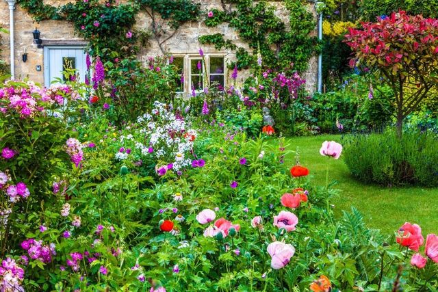 floral cottage garden