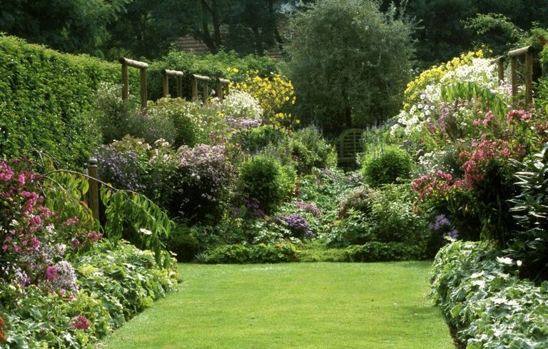 How to grow and english country garden