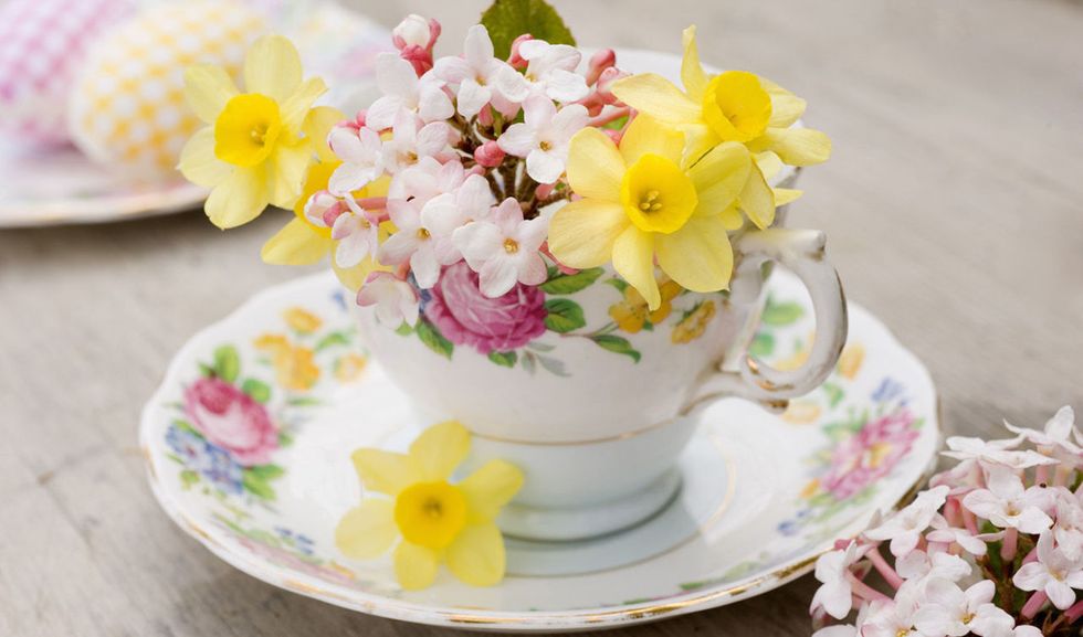 spring-flower-vintage-teacup-narcissus