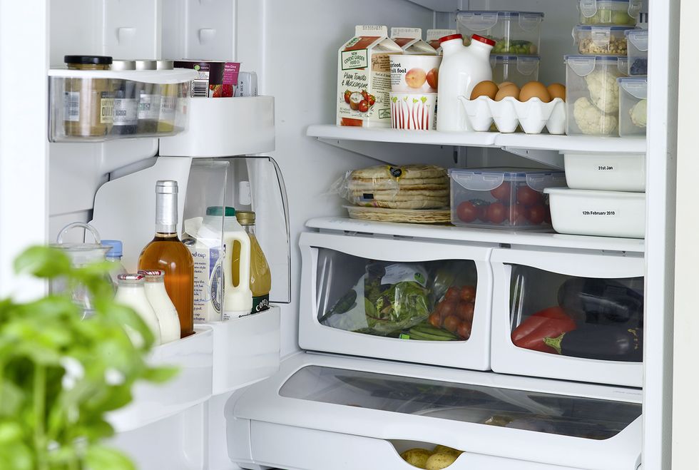 kitchen-storage-fridge