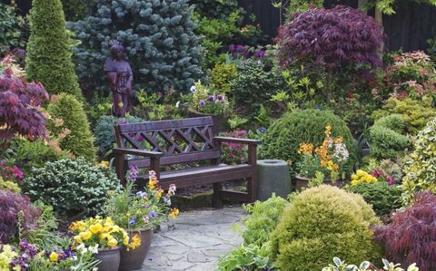 tree-planted-next-to-bench