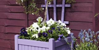 outdoor-space-purple-fence