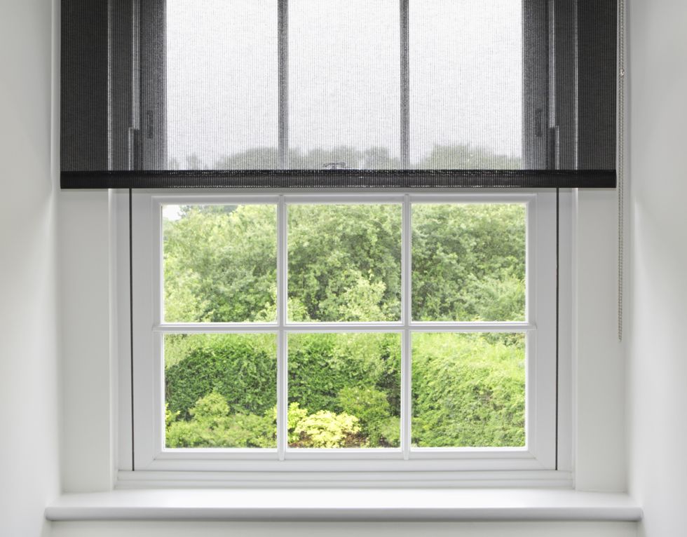sash-window-blinds