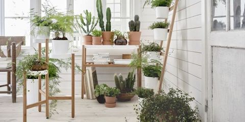 Ikea plant stands from £25, ideal for a small conservatory