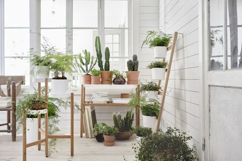 Ikea plant stands from £25, ideal for a small conservatory
