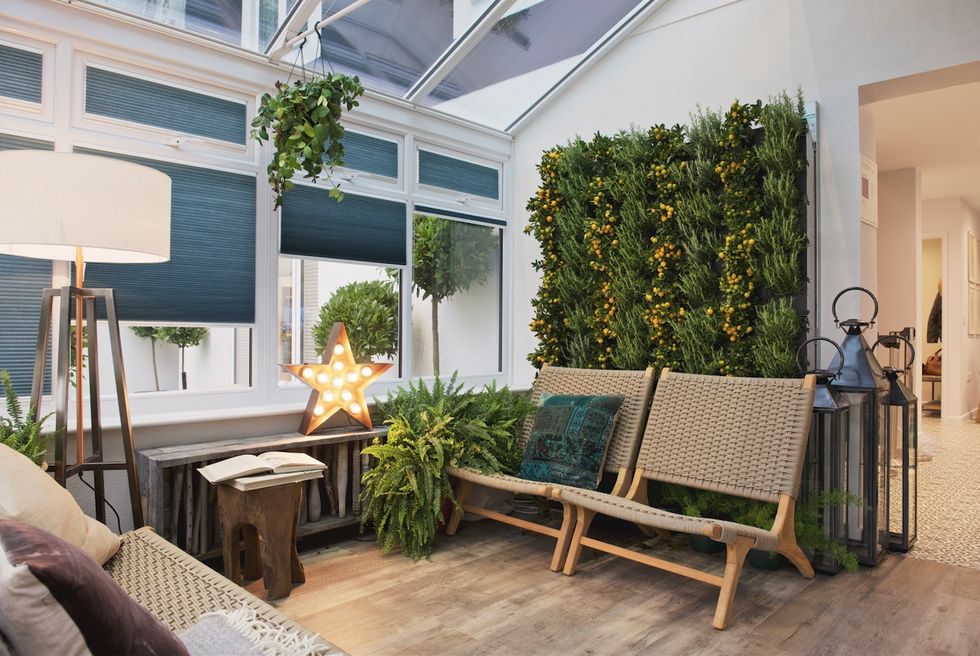 Thomas Sanderson blinds in a conservatory with a vertical living wall