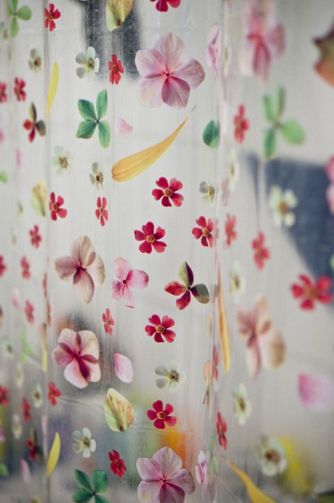 Floral print shower curtain
