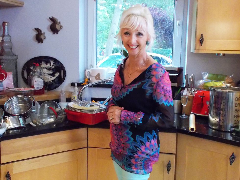 Debbie McGee - Who's Doing the Dishes?