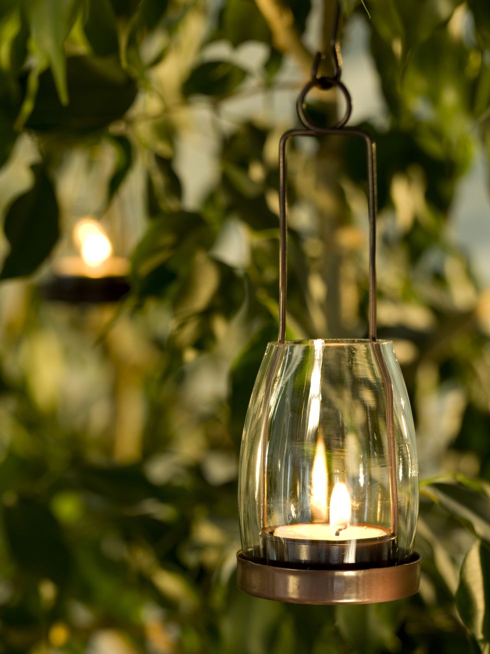 Candle hanging from a tree in a garden