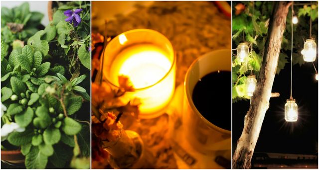 How to hygge your garden - potted plants, candle with cup of coffee, and lanterns hung from a tree in a garden