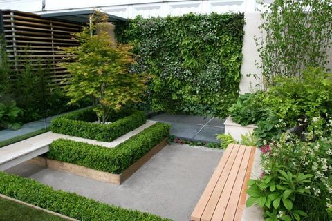 Living, green and vertical walls