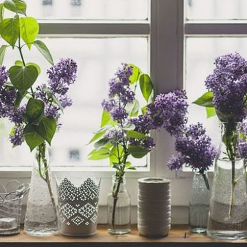 Purple, Flower, Lavender, Violet, Serveware, Interior design, Artifact, Vase, Cut flowers, Flower Arranging, 