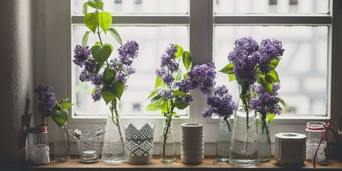 Purple, Flower, Lavender, Violet, Serveware, Interior design, Artifact, Vase, Cut flowers, Flower Arranging, 