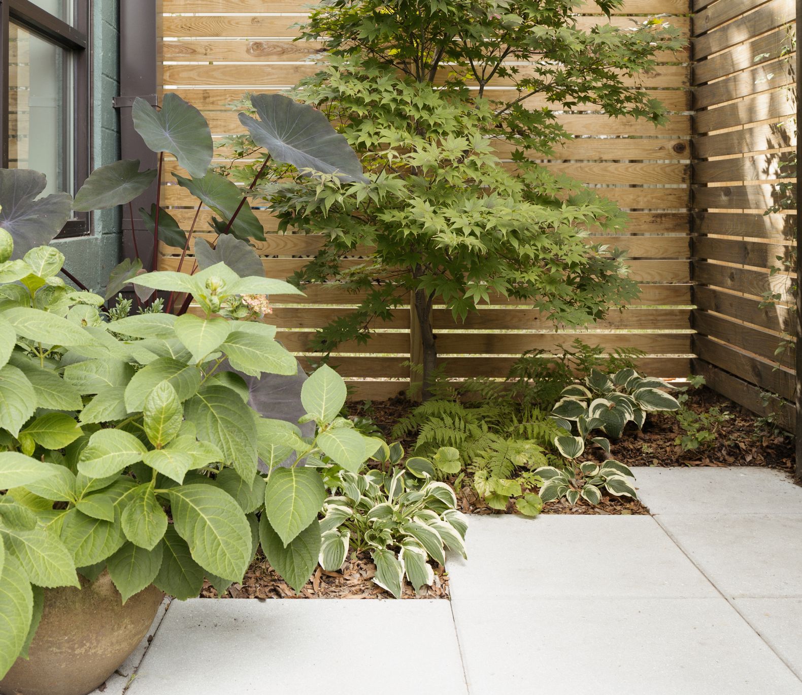 Luxury Landscaping Ideas For Low Water