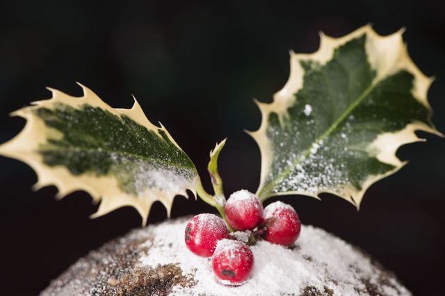 Chtsitmas pudding decorated with holly and dusted with icing sugar