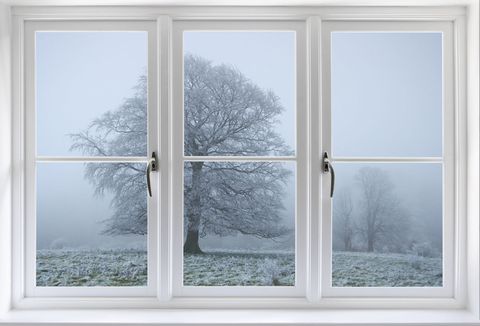 Frosty trees through white windows - the view outside is towards a frosty winter landscape