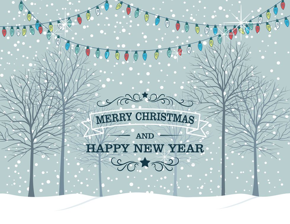 Blue, Branch, Winter, Twig, Pattern, Aqua, Decoration, Christmas, Snow, Christmas decoration, 