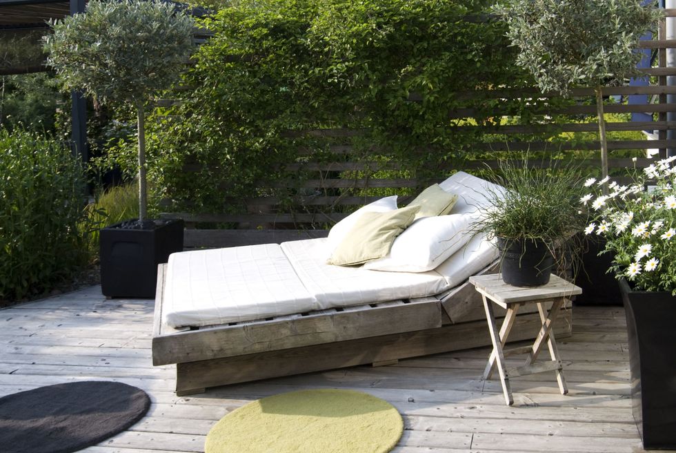 Modern garden with an outdoor bed in the afternoon sun: A nice patio with an outdoor bed with white and green cushions. Lush foliage with Clematis, Marguerites and Salix Helvetica.